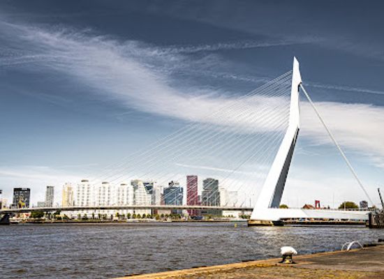 netherlands/south-holland/attraction/erasmusbrug