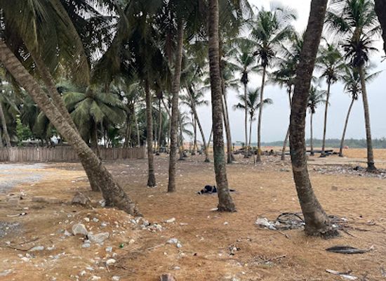 cote-d-ivoire/comoe/attraction/embouchure-du-fleuve-comoe