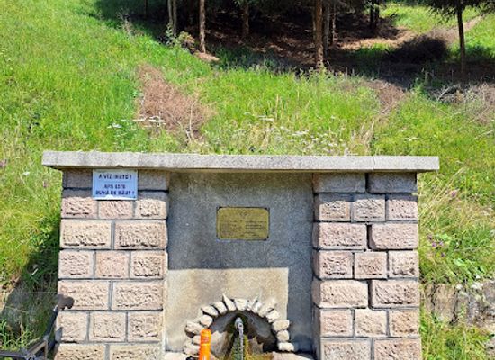 romania/harghita/attraction/szarvas-forras-izvorul-cerbul