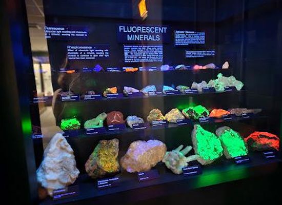 missouri/joplin/attraction/joplin-history-mineral-museum