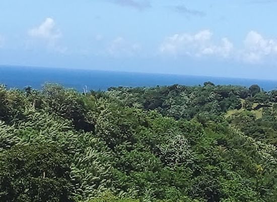 trinidad-and-tobago/buccoo-reef/attraction/eden-s-door-tobago