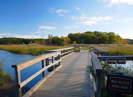new-jersey/jersey-shore/attraction/cheesequake-state-park