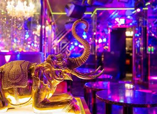 japan/bingo/attraction/maharaja-roppongi