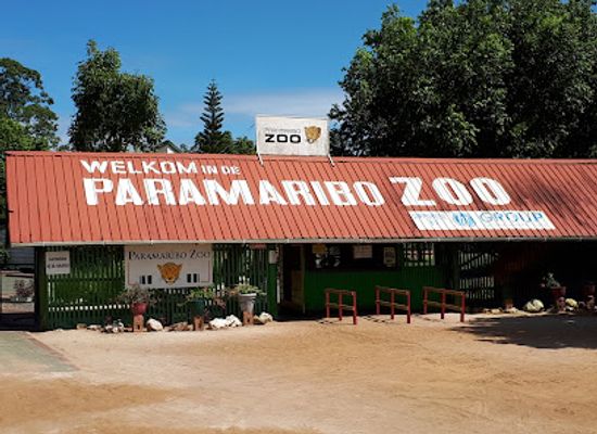 suriname/lelydorp/attraction/paramaribo-zoo