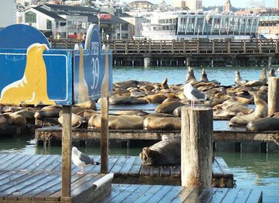 california/oakland/attraction/pier-39