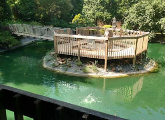 oklahoma/lake-and-trail-country/attraction/lendonwood-gardens