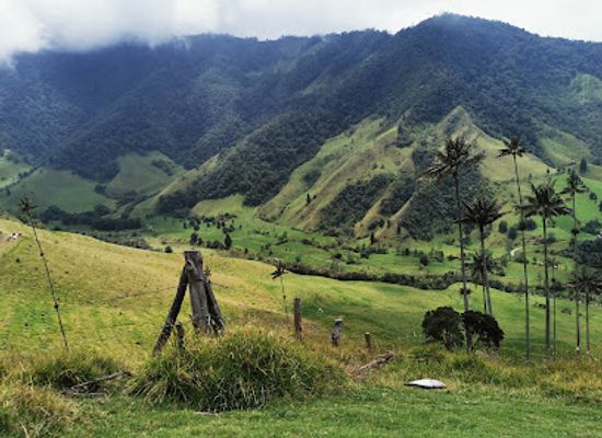 colombia/cauca-valley/attraction/el-gato-del-rio