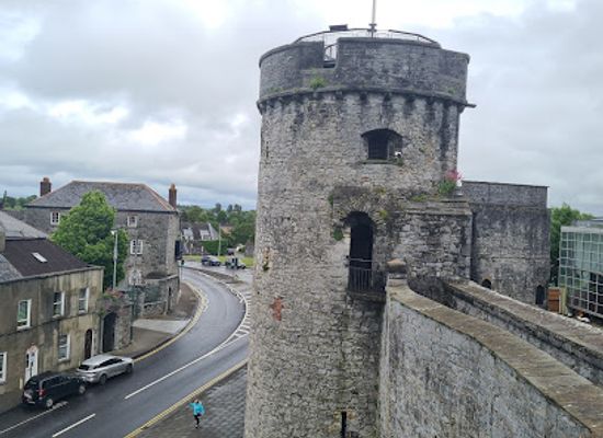 ireland/county-limerick/attraction/bishops-palace-the-griffon-lion-royal-palace