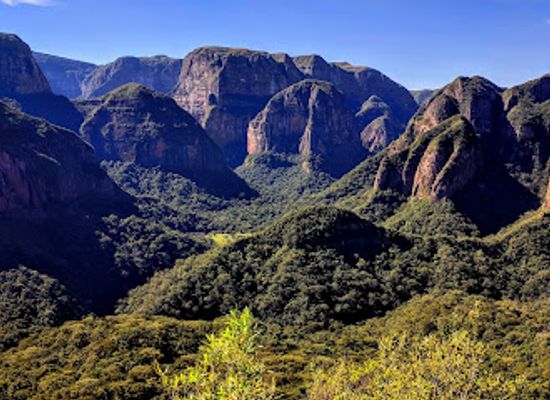 bolivia/potosi/attraction/parque-nacional-amboro