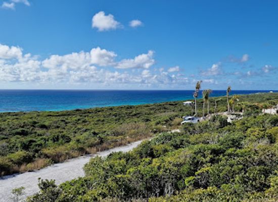 the-bahamas/san-salvador-island/attraction/blue-hole-overlook