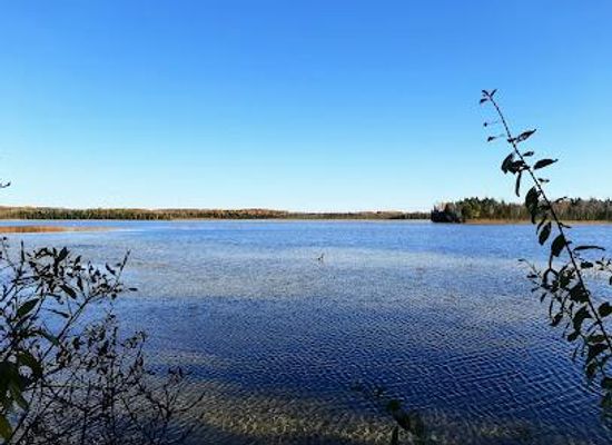 wisconsin/door-peninsula/attraction/kangaroo-lake-nature-preserve