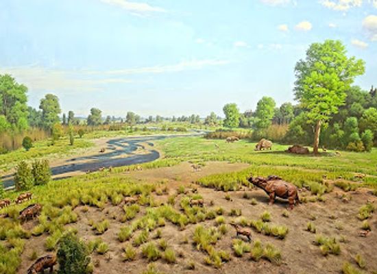 canada/prairies/attraction/royal-saskatchewan-museum
