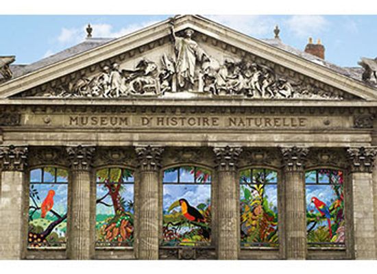 france/nantes/attraction/natural-history-museum