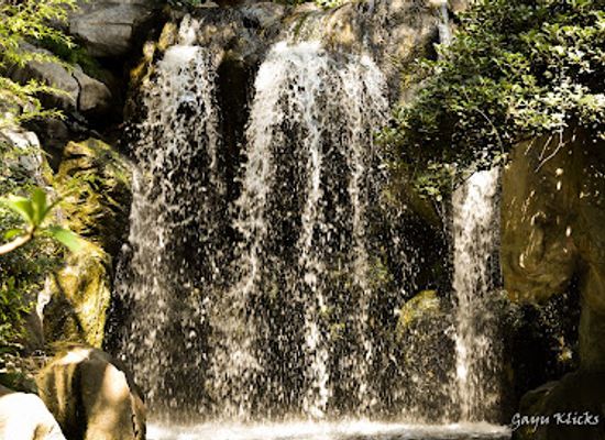 australia/sydney-basin/attraction/chinese-garden-of-friendship