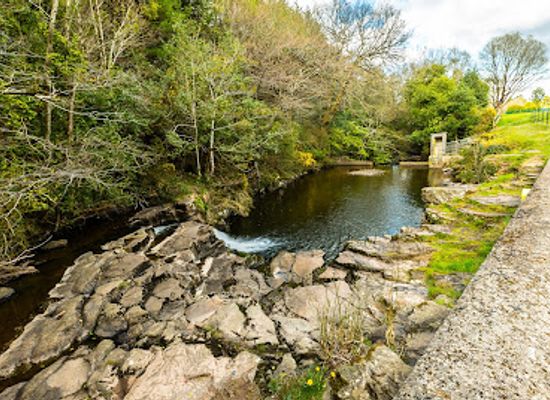 ireland/county-laois/attraction/cathole-falls