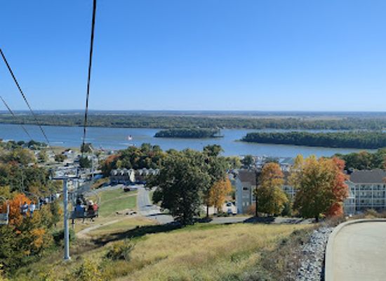 illinois/river-bend/attraction/aerie-s-alpine-coaster