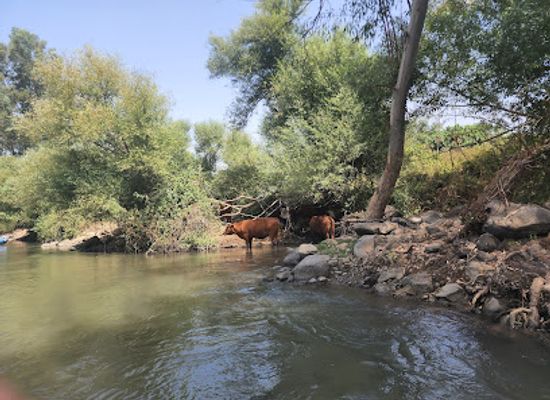 jordan/northern-jordan-valley/attraction/jordan-river-rafting-attractions