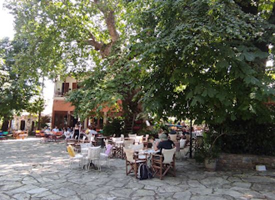greece/mount-pelion/attraction/yperaionovios-platanos