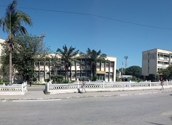 madagascar/mahajanga/attraction/avenue-philibert-tsiranana-garden