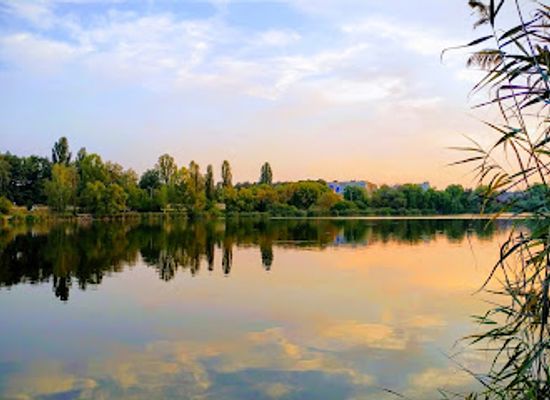 ukraine/vinnytsia/attraction/the-national-pirogov-s-estate-museum