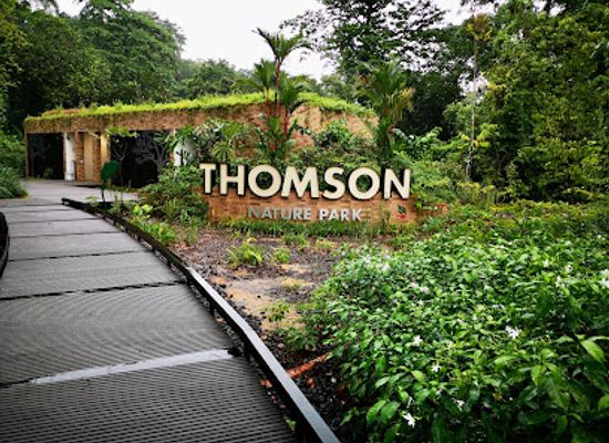 singapore/ang-mo-kio/attraction/thomson-nature-park