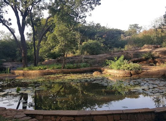 mali/bamako/badalabougou/attraction/mali-national-park