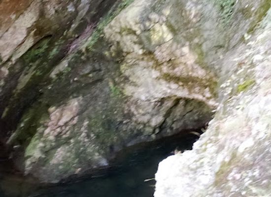 slovenia/postojna-cave/attraction/ponor-reke-pivke