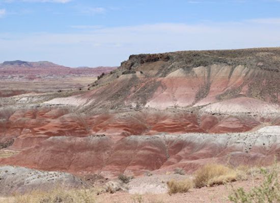arizona/petrified-forest-national-park/attraction/agate-bridge
