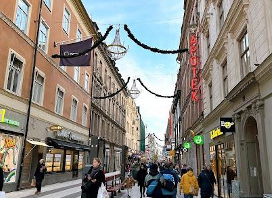 sweden/stockholm-archipelago/attraction/drottninggatan