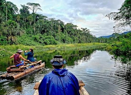 peru/cusco/attraction/amazon-trip-peru-rainforest-expeditions-jungle-tours-from-cusco-sustainable-travel-agency