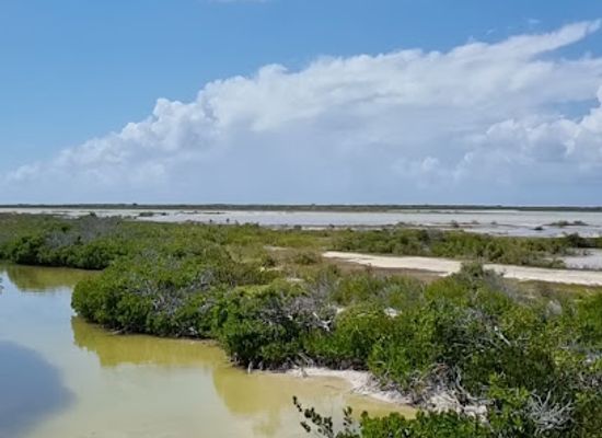 british-virgin-islands/anegada-beaches/attraction/anegada
