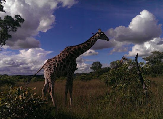zimbabwe/harare/attraction/lake-chivero-recreational-park