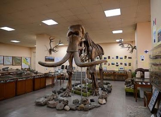 armenia/tsaghkadzor/attraction/geological-museum