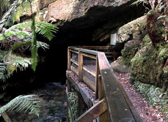australia/mount-field-national-park/attraction/junee-cave-state-reserve