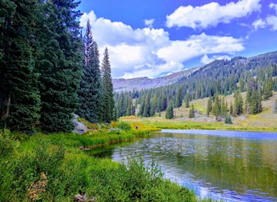 colorado/gunnison/attraction/gunnison-national-forest