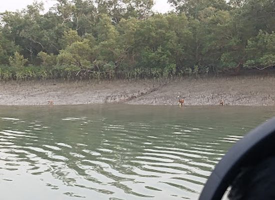 bangladesh/sundarbans/attraction/five-river-junction