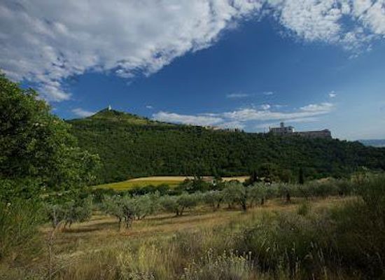 italy/perugia/attraction/bosco-di-san-francesco