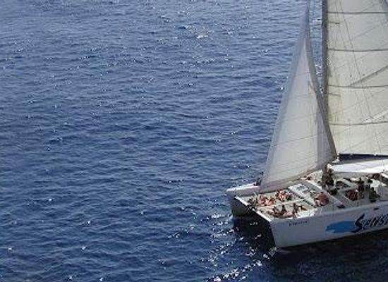 spain/barcelona/attraction/lloguer-d-embarcacions-per-a-esdeveniments-a-barcelona-gotland-charter-boat-rentals-barcelona
