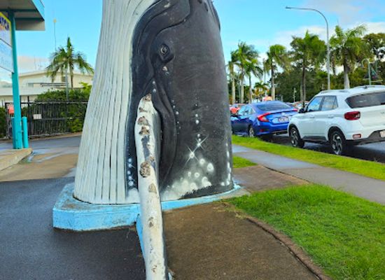 australia/fraser-island/attraction/the-big-whale