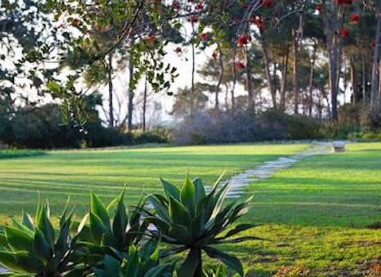 israel/netanya/attraction/ramat-hanadiv