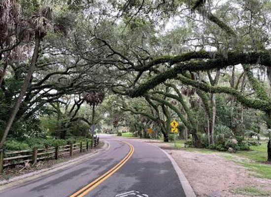 florida/st-petersburg/attraction/philippe-park