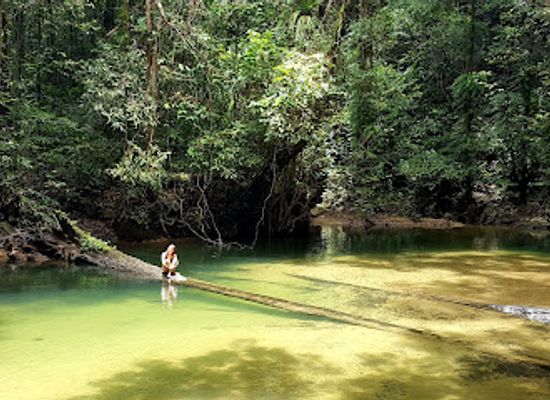 malaysia/borneo/attraction/clearwater-cave-gua-air-jernih