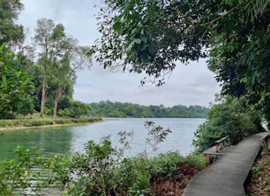 singapore/macritchie-reservoir/attraction/macritchie-petai-trail