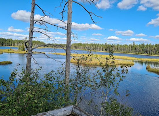 sweden/vasterbotten/attraction/grossjon