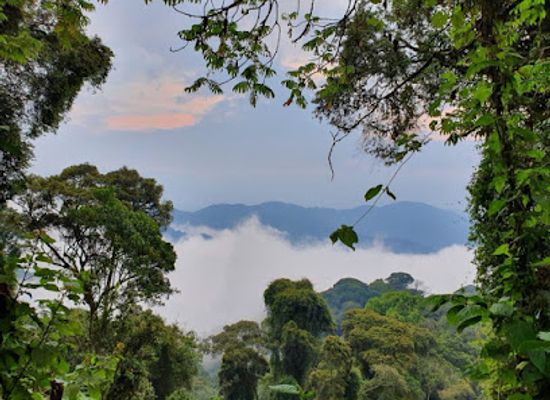 rwanda/gitarama/attraction/volcanoes-over-view-safaris-under-volcanoes-view-guest-house