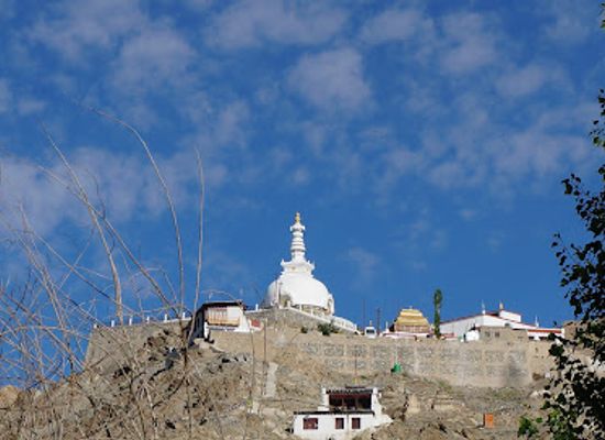 india/ladakh/attraction/gomang-stupa