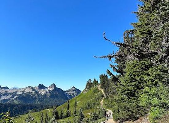 washington/mount-rainier-national-park/attraction/paradise-meadows-skyline-trailhead