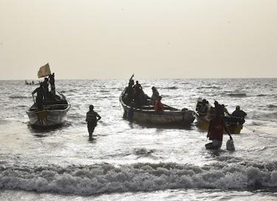 the-gambia/banjul/attraction/tanji-fishing-center-bass