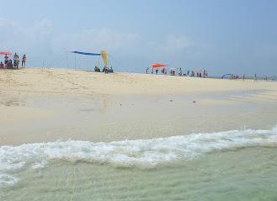 tanzania/eastern-zone/attraction/blue-safari