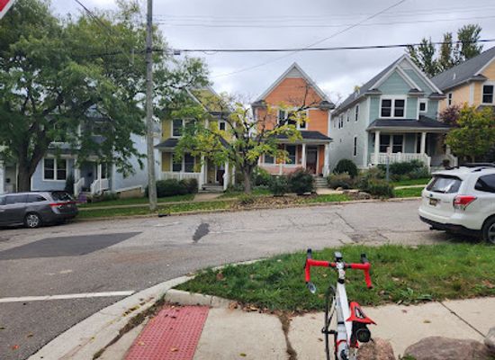 michigan/ann-arbor/attraction/the-painted-ladies-of-ann-arbor